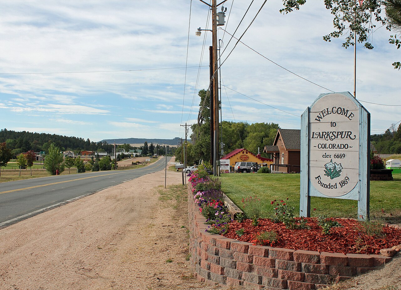 Larkspur