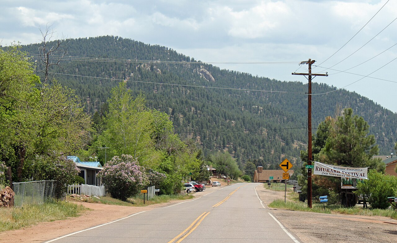 Pine